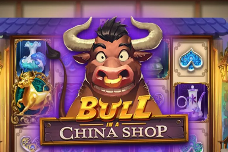 bull-in-a-china-shop